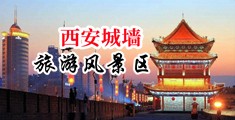 娥罗斯小伙和兽裸体操屄内射中国陕西-西安城墙旅游风景区