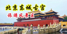 男生爆操女生在线观看视频网站中国北京-东城古宫旅游风景区